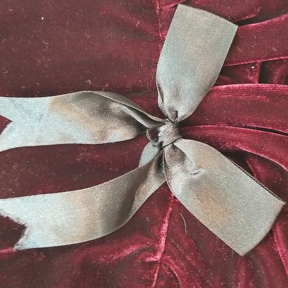 NWT Victorian Style Burgundy Velvet Dog Coat Small - Picture 7 of 16